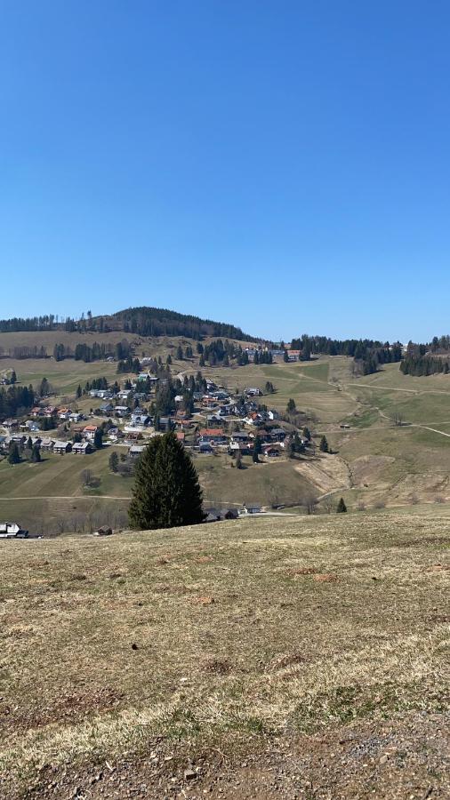 Haus Am Sonnenberg,Todtnauberg, Ferienwohnung 002, Direkt Am Skilift-Skipiste, Naehe Feldberg Exterior foto