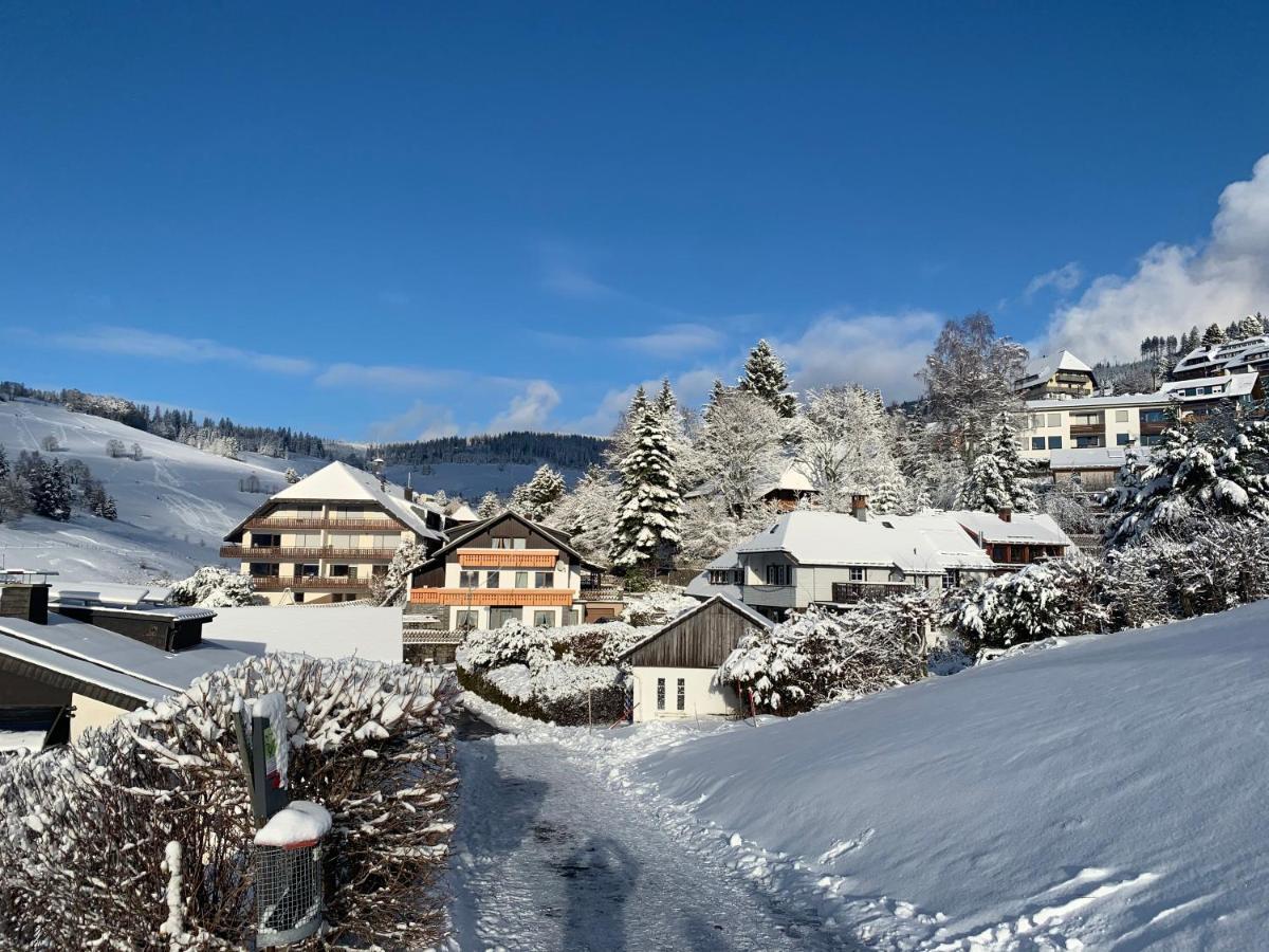 Haus Am Sonnenberg,Todtnauberg, Ferienwohnung 002, Direkt Am Skilift-Skipiste, Naehe Feldberg Exterior foto